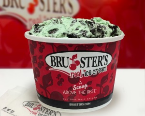 brusters sugar free flavors