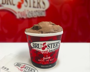 brusters sugar free flavors